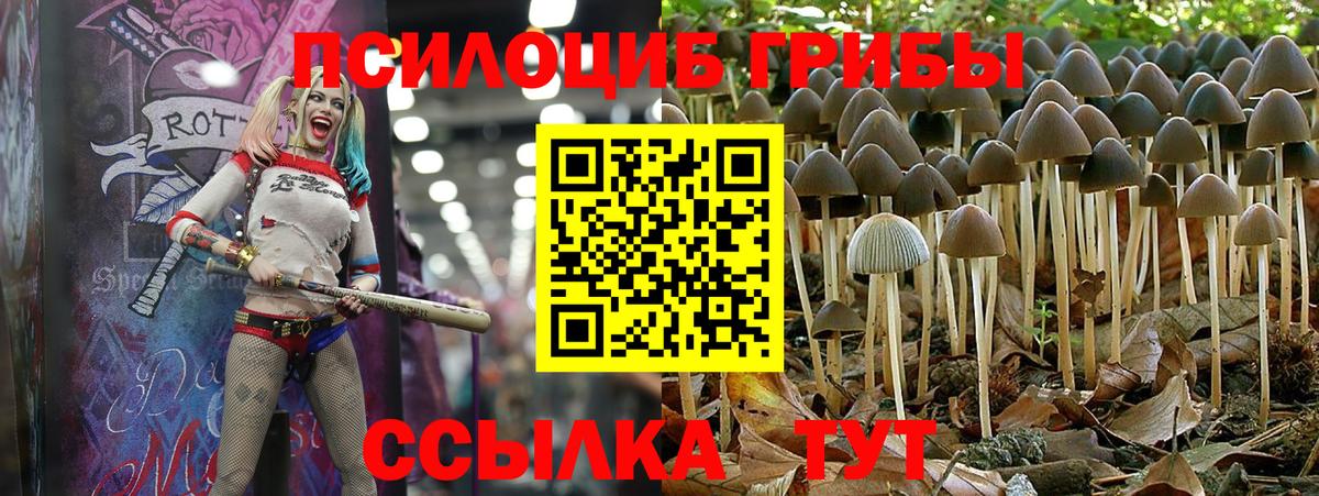 Кызыл  Галлюциногенные грибы MAGIC MUSHROOMS  Вход с VPN 